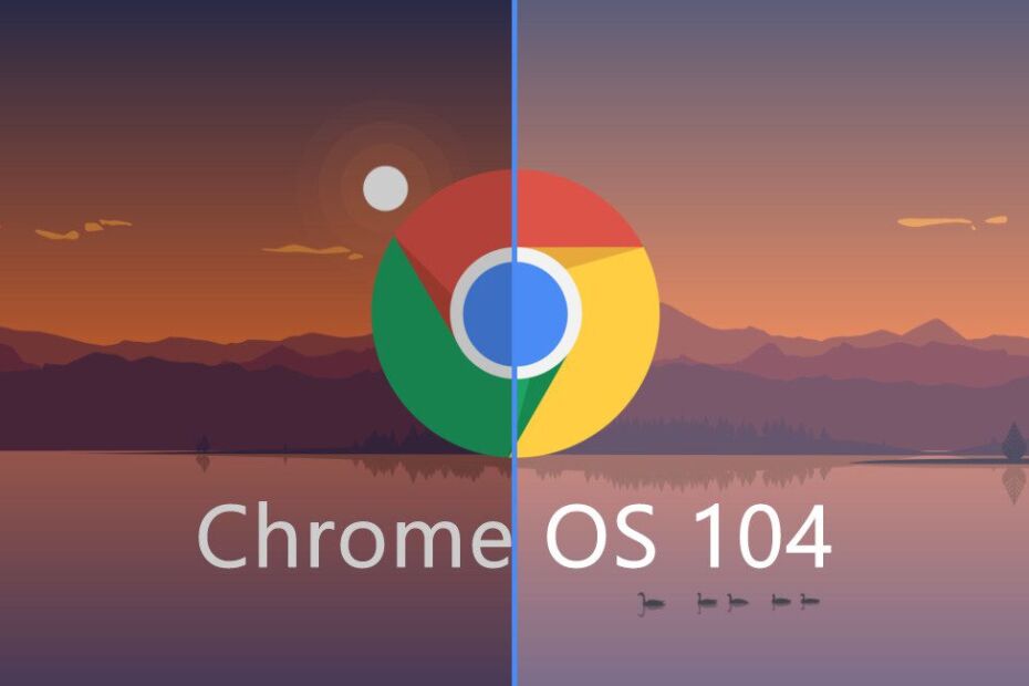 Google ChromeOS 104