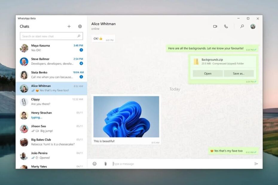 novo whatsapp para Windows