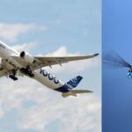 aviao-A350-1000-autonomo-Airbus-DragonFly-e-libelula