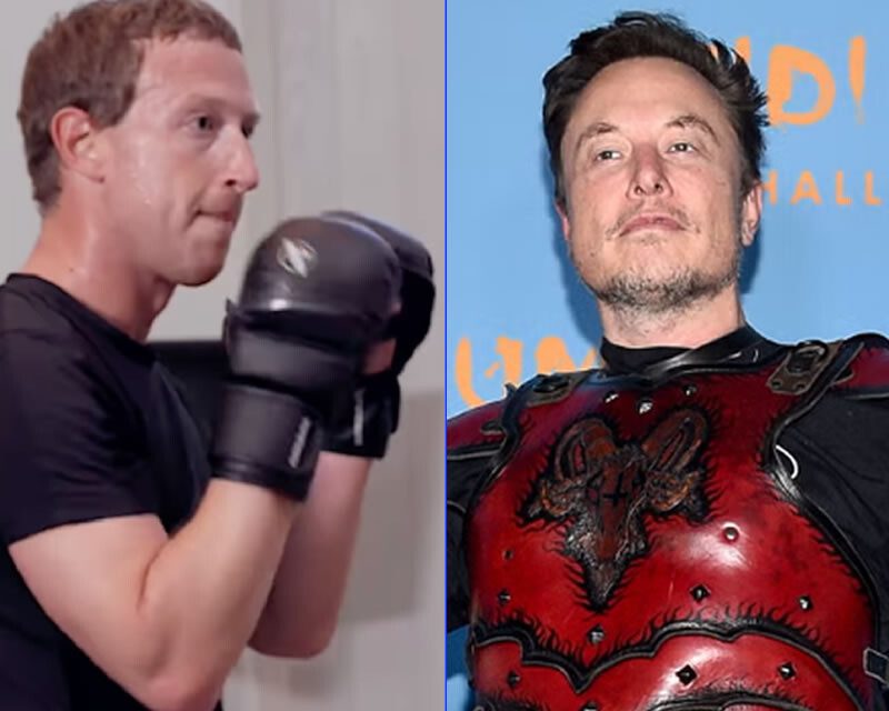 Luta entre Elon Musk e Mark Zuckerberg pode ser no Coliseu